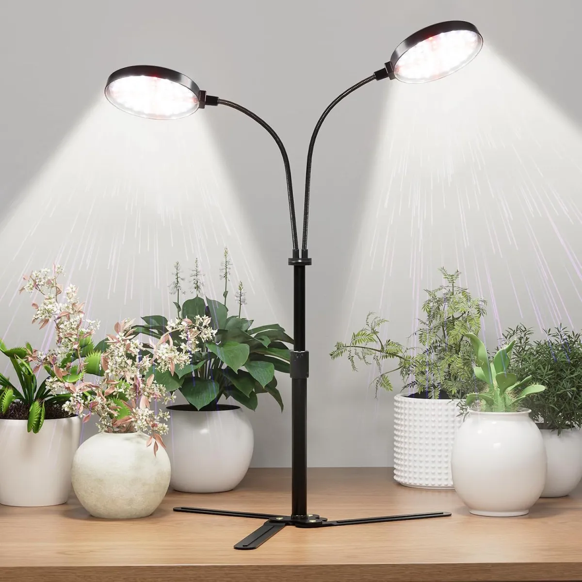 Dual Ring LED Grow Lights for Indoor Plants, 6000K Full Spectrum, Auto On Off Timer 4/8/12/18Hrs, Height Adjustable, Black, 3.5'' 9-16'' - Unbranded